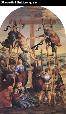 Giovanni Sodoma The Descent from the Cross (nn03)